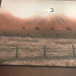 A 25*15 Acrylic on canvas signed painting